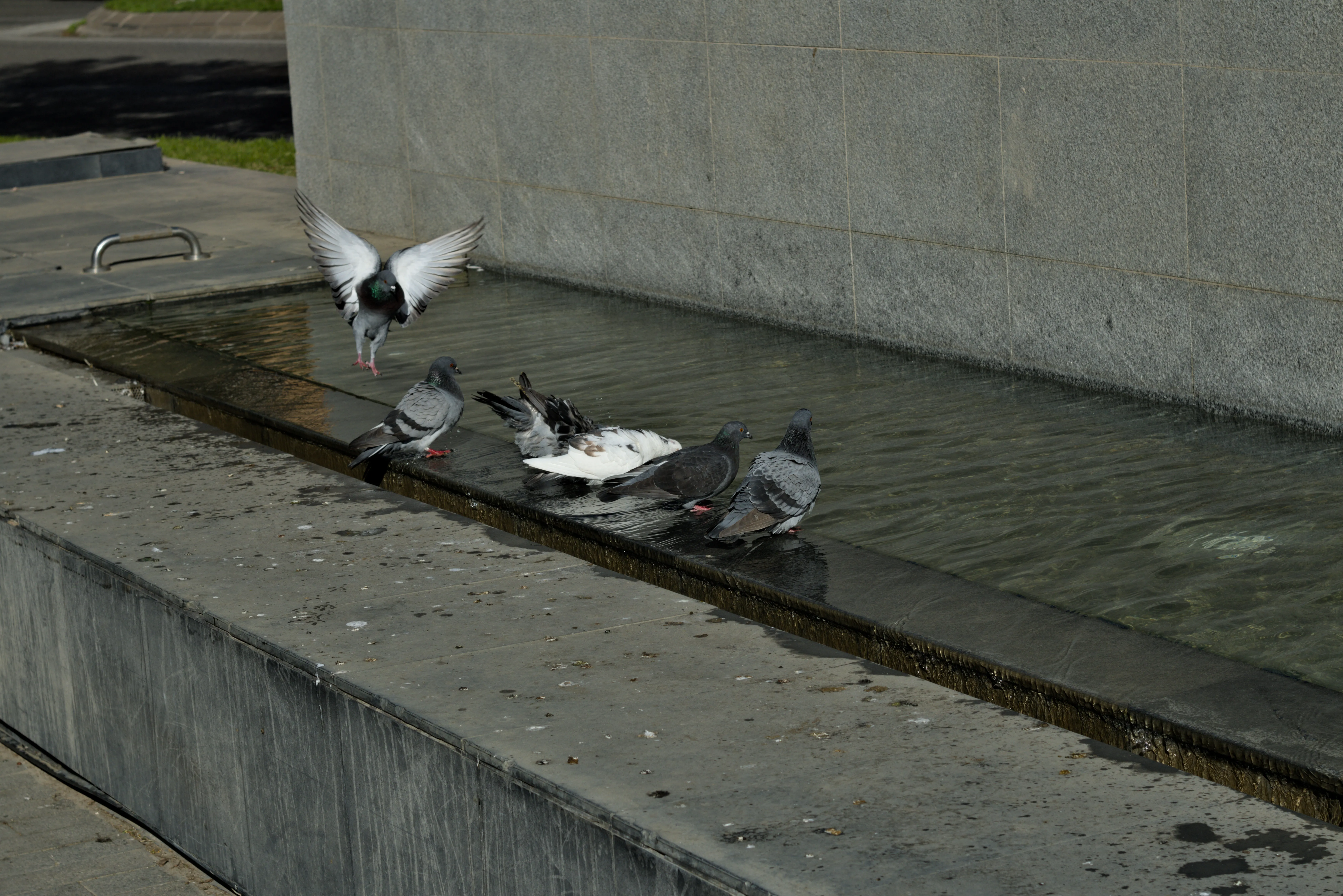 Zenith Helios-77M-4 1,850 (VOMZ) - _I4A6137.webp